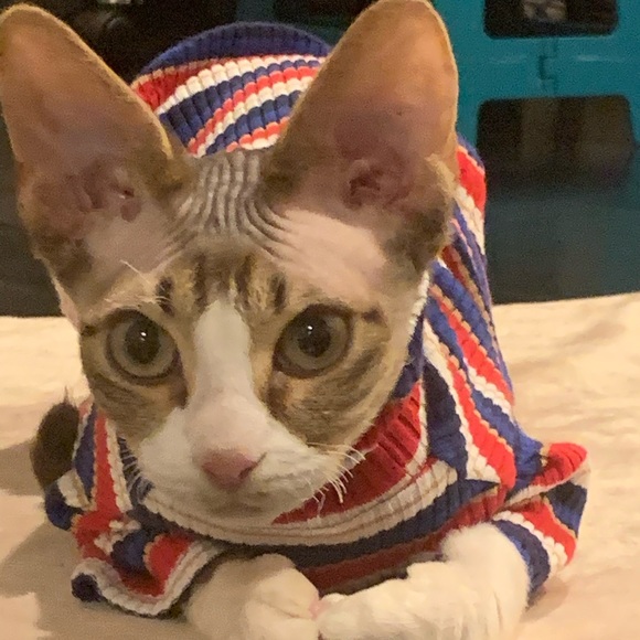 @Bekafab  FOLLOW GAME😻 - Picture 5 of 11